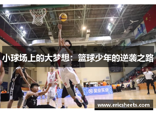 小球场上的大梦想：篮球少年的逆袭之路